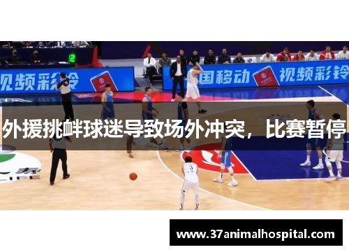 外援挑衅球迷导致场外冲突，比赛暂停