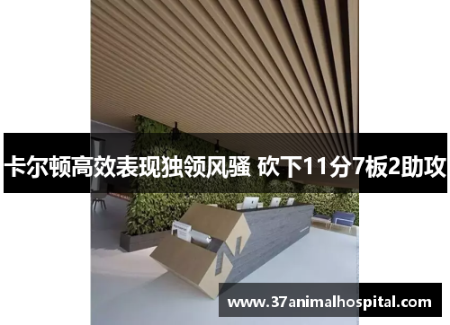 卡尔顿高效表现独领风骚 砍下11分7板2助攻